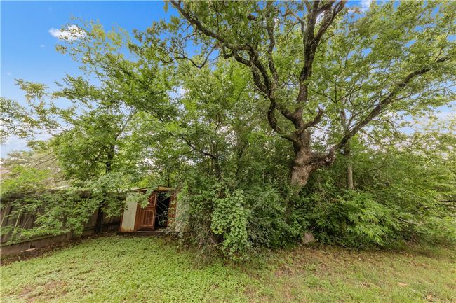 View of yard featuring a storage unit | Image 22