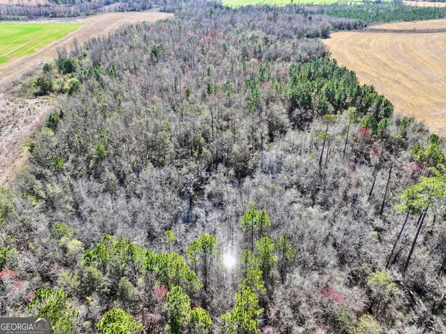 2819 Stripling Rd, Home with 0 bedrooms, 0 bathrooms and null parking in Dexter GA | Image 19