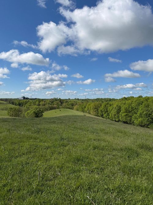 14.17 Ac Chipman Ridge Rd, Williamstown, KY, 41097-3201 | Card Image