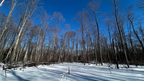 8845 B5 + B6 Reynolds, Almira Township, MI, 49684 | Card Image