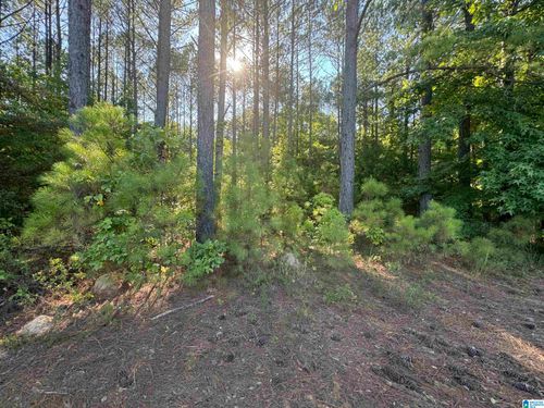 17-0 County Road 879, SELMA, AL, 36701 | Card Image