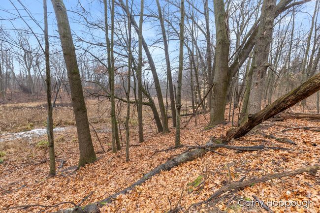 PARCEL-1 - V/L W Snows Lake Road, Home with 0 bedrooms, 0 bathrooms and null parking in Fenwick MI | Image 17