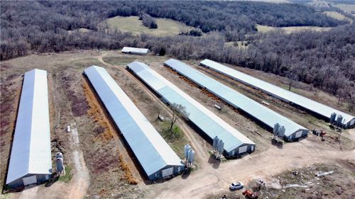 14319 Ayrs Rd, Alpena, AR, 72611 | Card Image