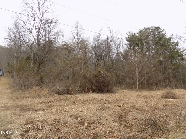 185 Lovin Rd, House other with 4 bedrooms, 2 bathrooms and null parking in Mooresburg TN | Image 59
