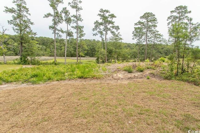 View of rear yard featuring a view | Image 37