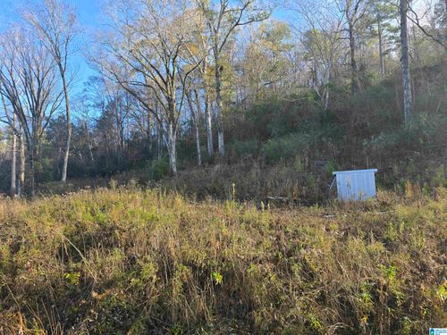 1-0000 County Rd, Verbena, AL, 36091 | Card Image