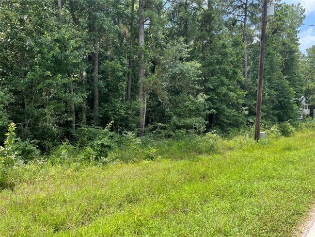 25420 Cambridge Blvd, Home with 0 bedrooms, 0 bathrooms and null parking in New Caney TX | Image 4