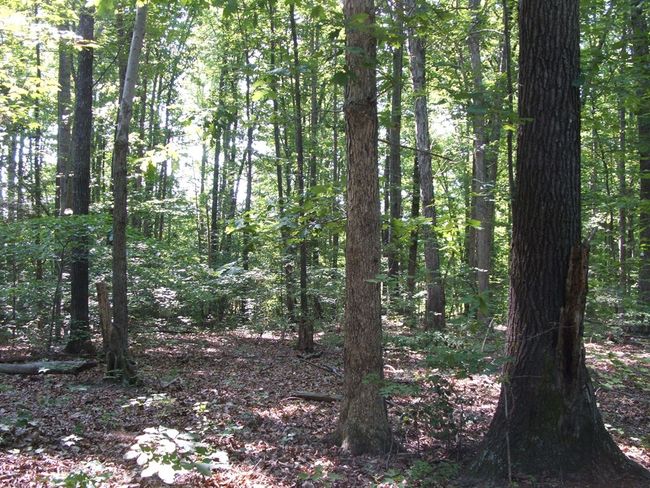 3859 Saxkey Rd, Home with 3 bedrooms, 1 bathrooms and null parking in Saxe VA | Image 20