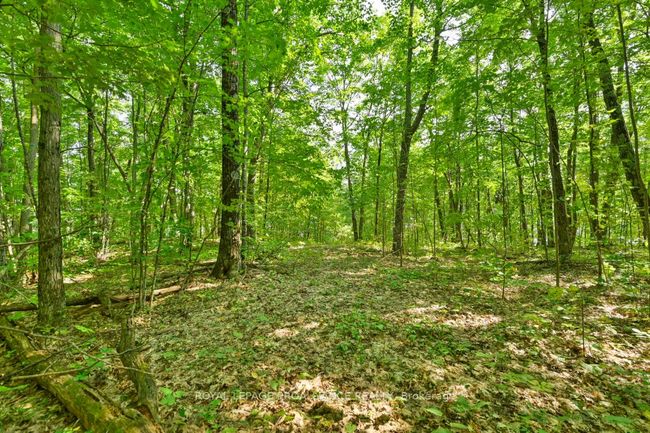 1083 Lindey Lane, Home with 0 bedrooms, 0 bathrooms and null parking in North Frontenac ON | Image 7