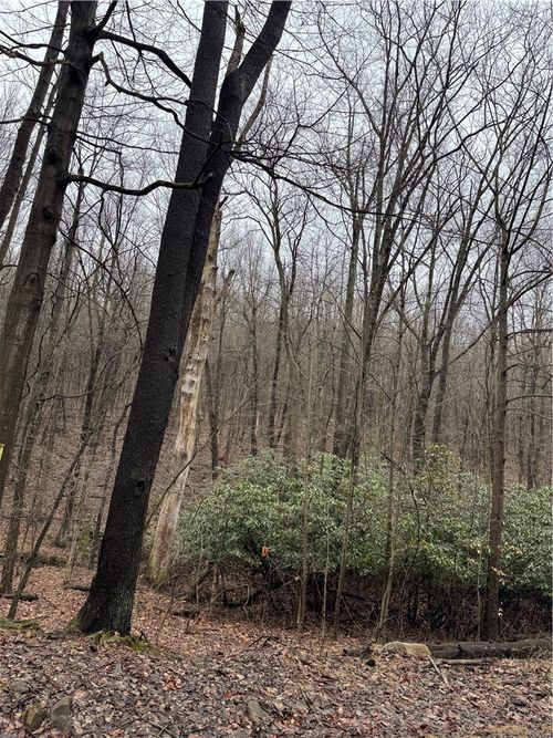 0 Kelley Rd, Connellsville, PA, 15425 | Card Image