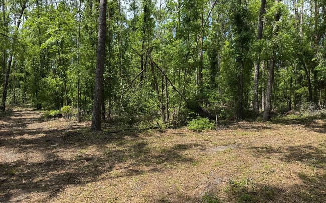 TBD 172 Nd Trce, Home with 0 bedrooms, 0 bathrooms and null parking in LIVE OAK FL | Image 18