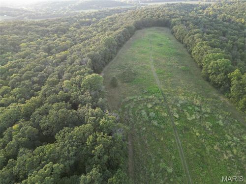 15 Tanglewood Acres, Festus, MO, 63028 | Card Image