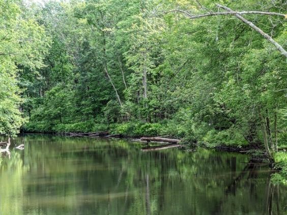 Hillis Rd, Riverdale, MI 48877