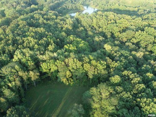 4026 Waggoner Rd, IUKA, IL, 62849-2136 | Card Image