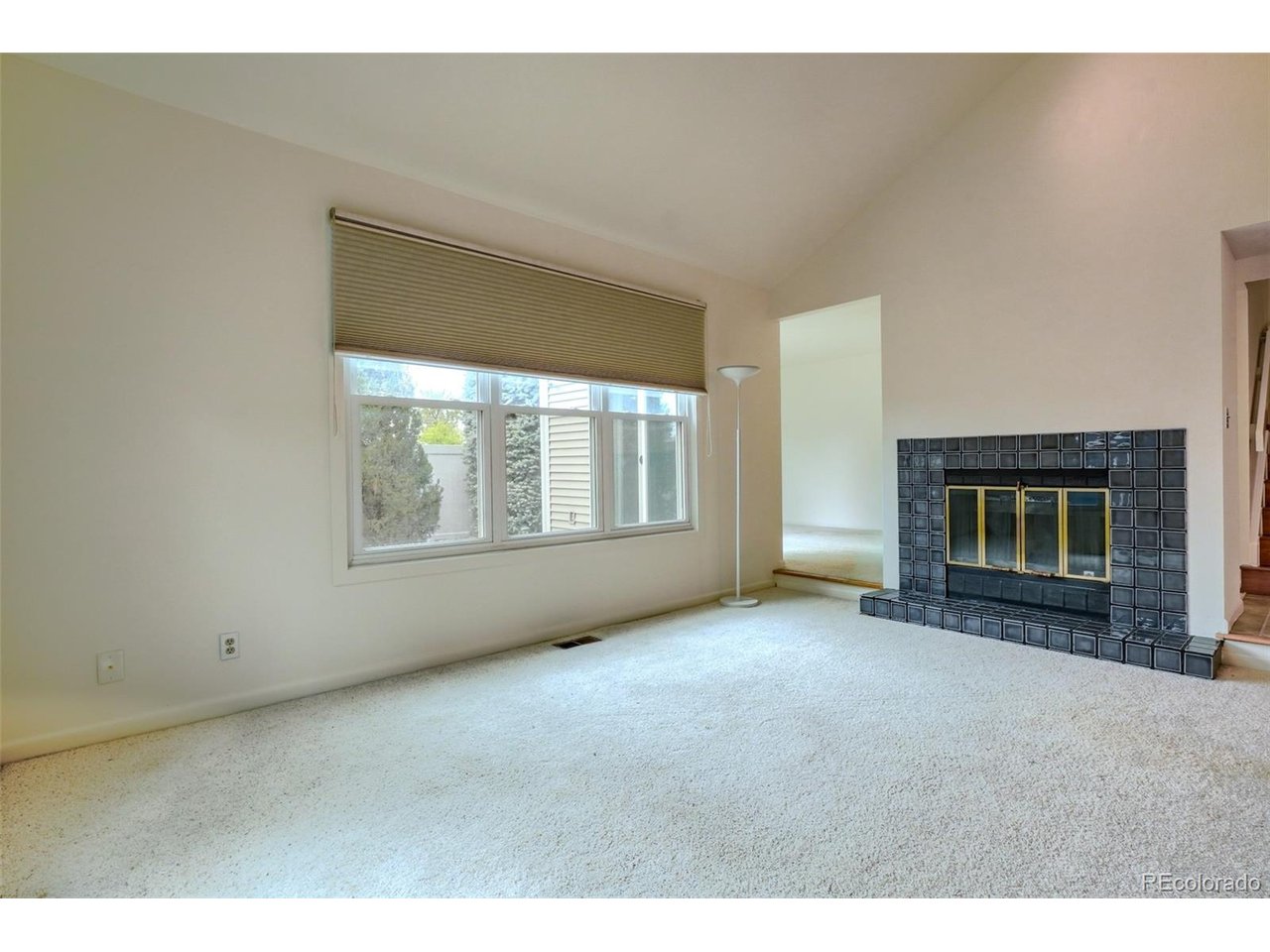 Residential in Denver 5