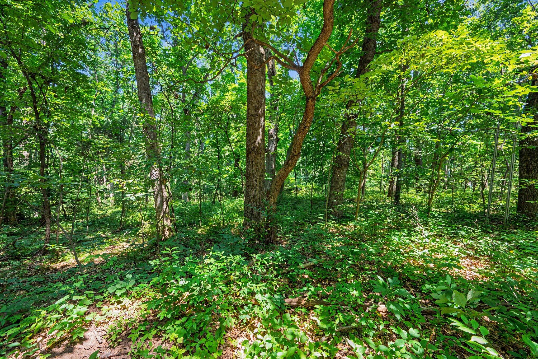 Land in Kalamazoo 3