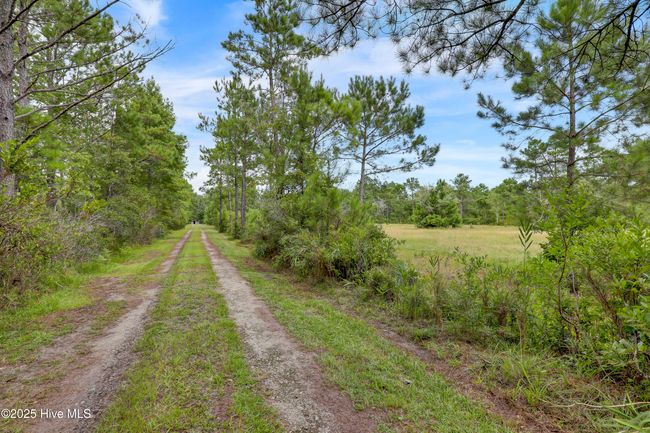 338 Lea Crest Ln, House other with 3 bedrooms, 2 bathrooms and null parking in Hampstead NC | Image 25