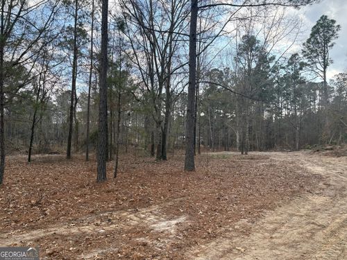 0 Ga Hwy 338 (Taylor Grocery Rd), Cadwell, GA, 31009 | Card Image