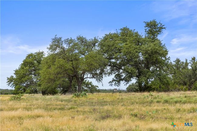 3049 Reservation Rd, Home with 0 bedrooms, 0 bathrooms and null parking in Harper TX | Image 29