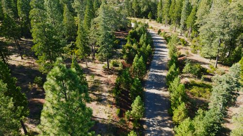 000 Waterleaf Rd, Shingletown, CA, 96088 | Card Image