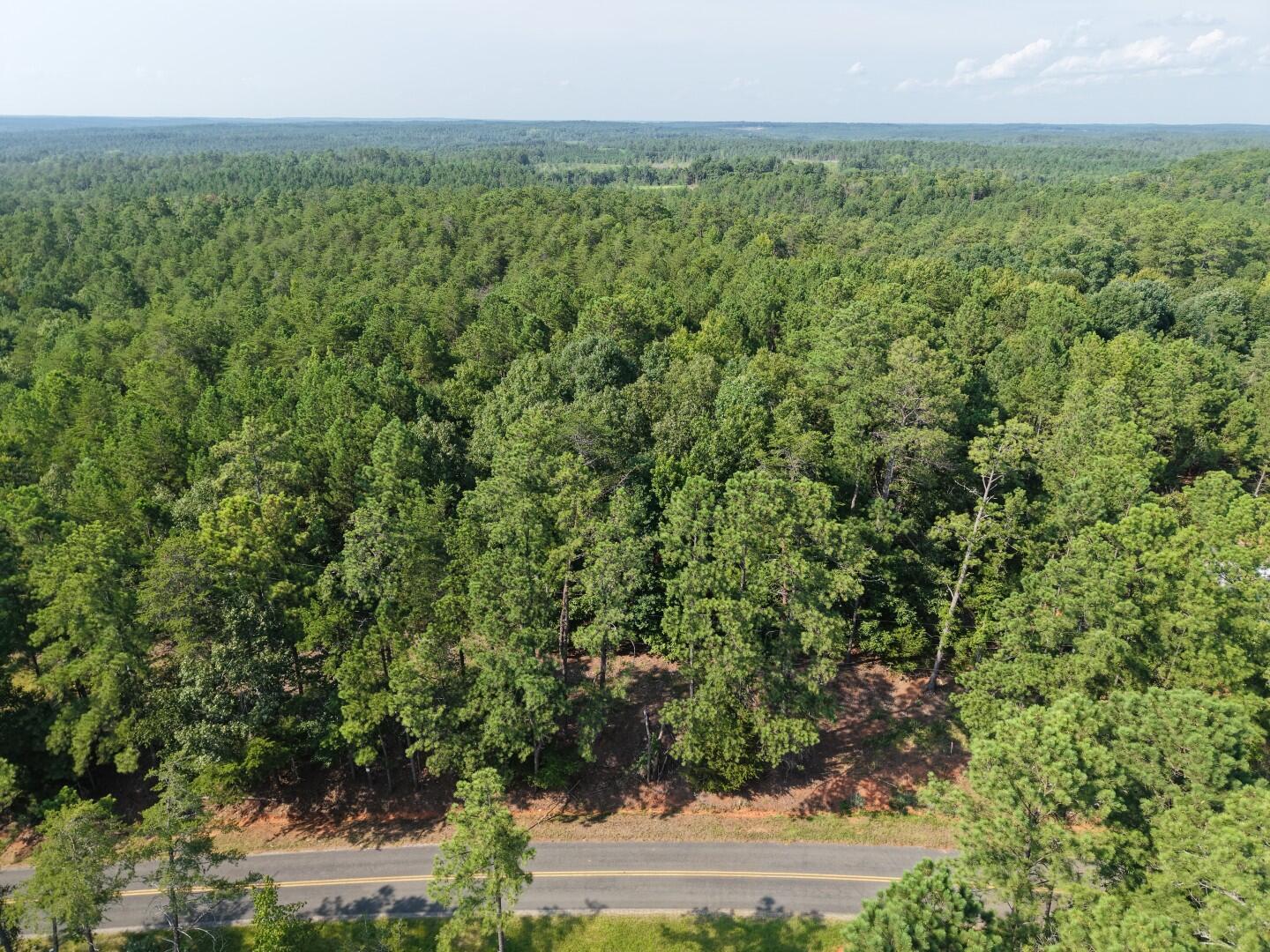 Land in Winnsboro 3