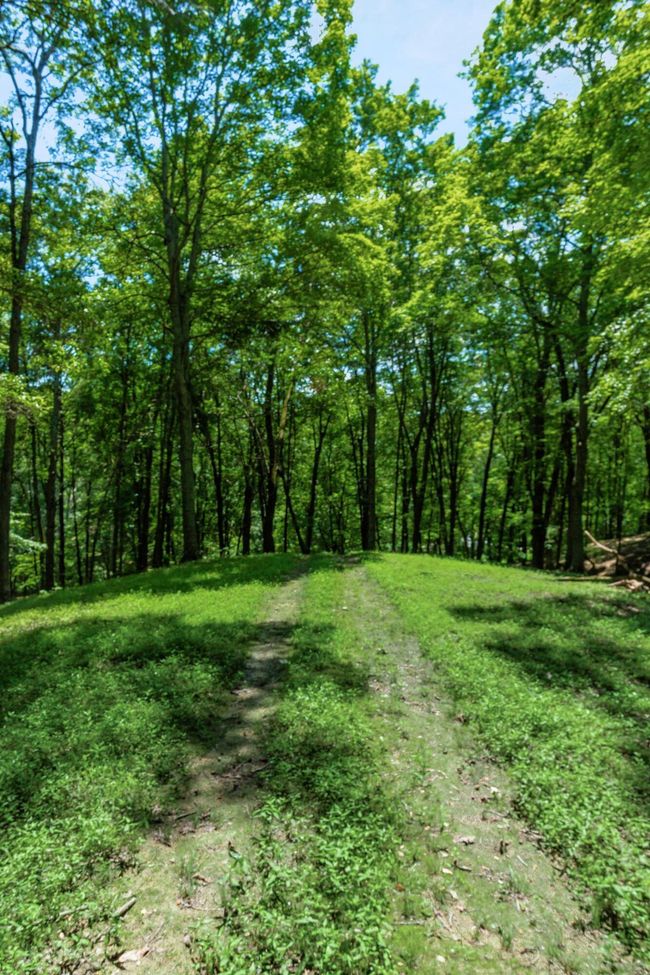 58501 Us Highway 50, Home with 0 bedrooms, 0 bathrooms and null parking in Mc Arthur OH | Image 72