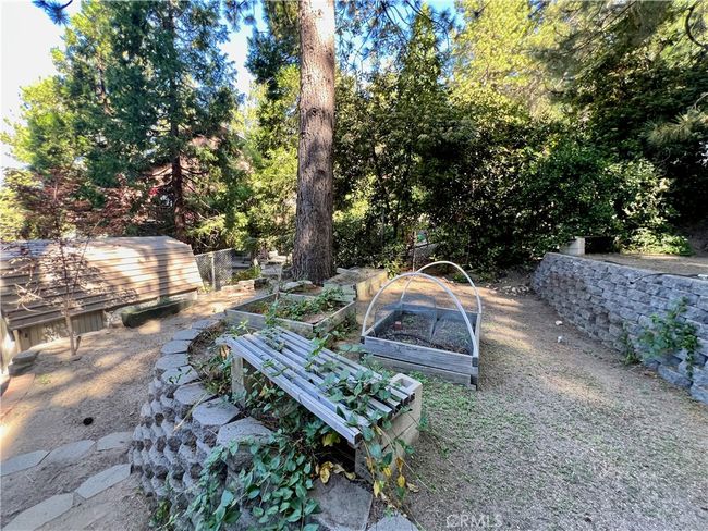 Side yard perfect for gardening. | Image 41