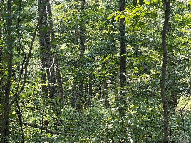 0 Cascade Mountain Rd, Home with 0 bedrooms, 0 bathrooms and null parking in Amenia NY | Image 10