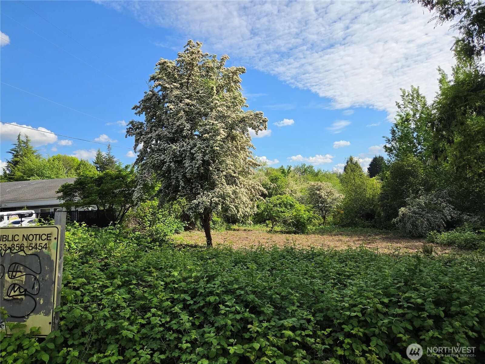 14707 Se 272Nd St, Kent, WA 98042