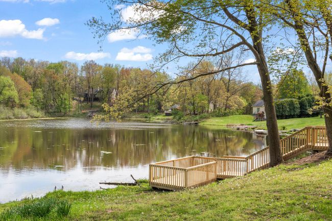 Pond | Image 53
