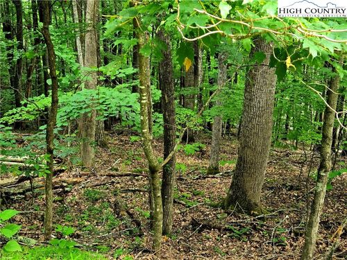 TBD Red Fox Trl, Boone, NC, 28607 | Card Image