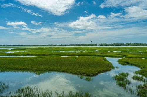 242 Little Oak Dr, Folly Beach, SC, 29439-5005 | Card Image