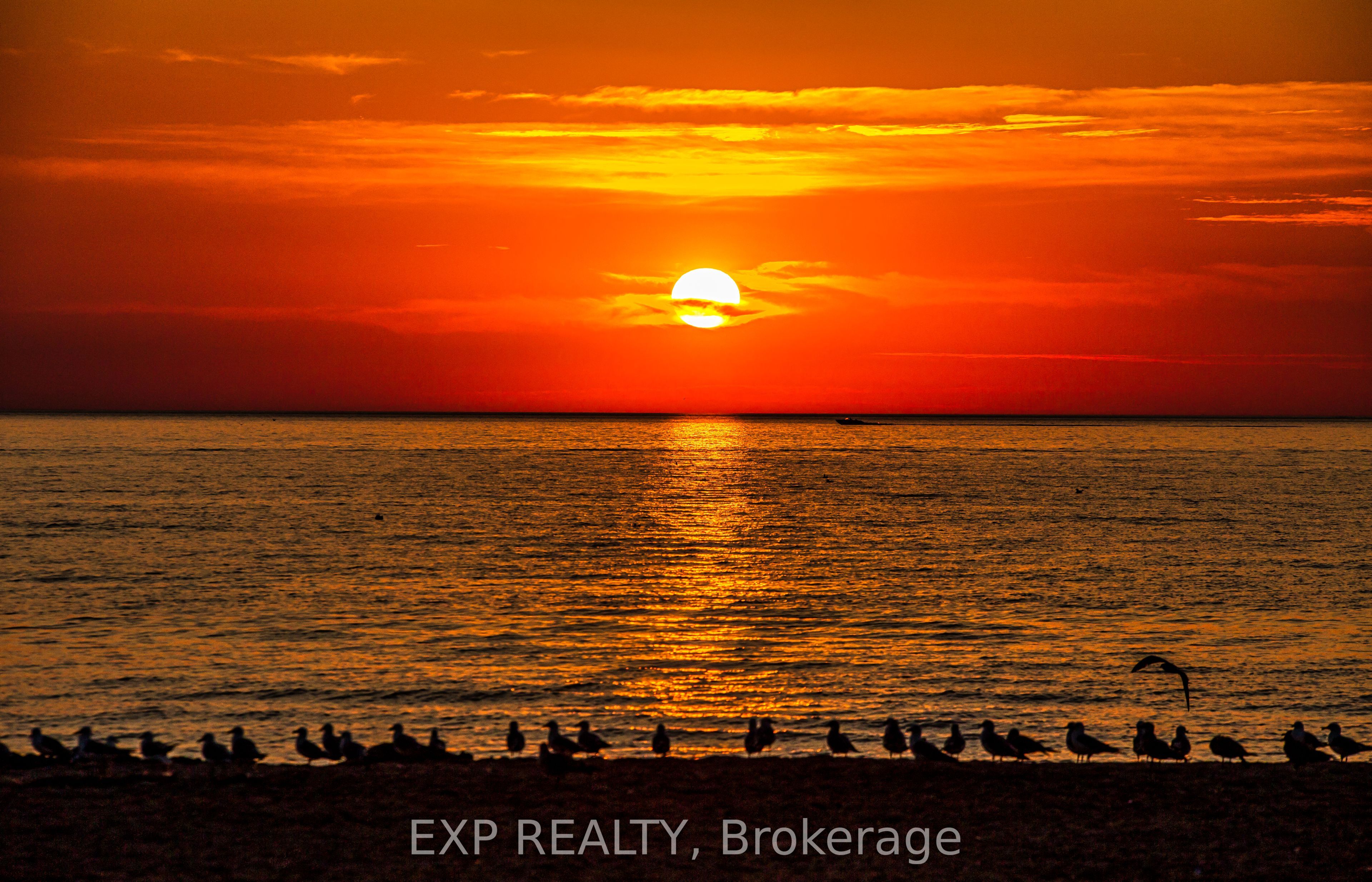 Residential in Wasaga Beach 2
