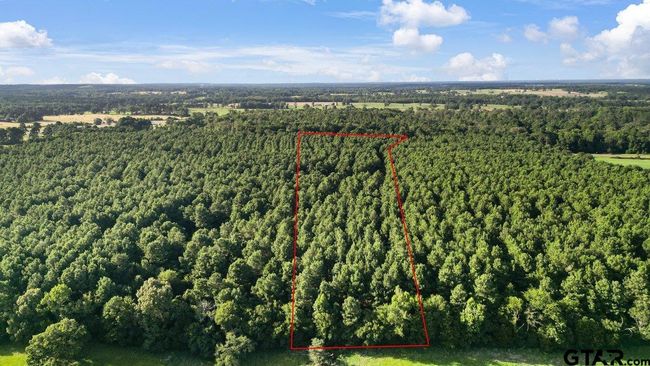 TBD 17.57 ACRES Fm 2274, Home with 1 bedrooms, 1 bathrooms and null parking in Troup TX | Image 25