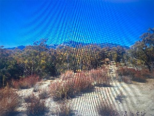 38007 Tripp Flats Rd, Anza, CA, 92539 | Card Image