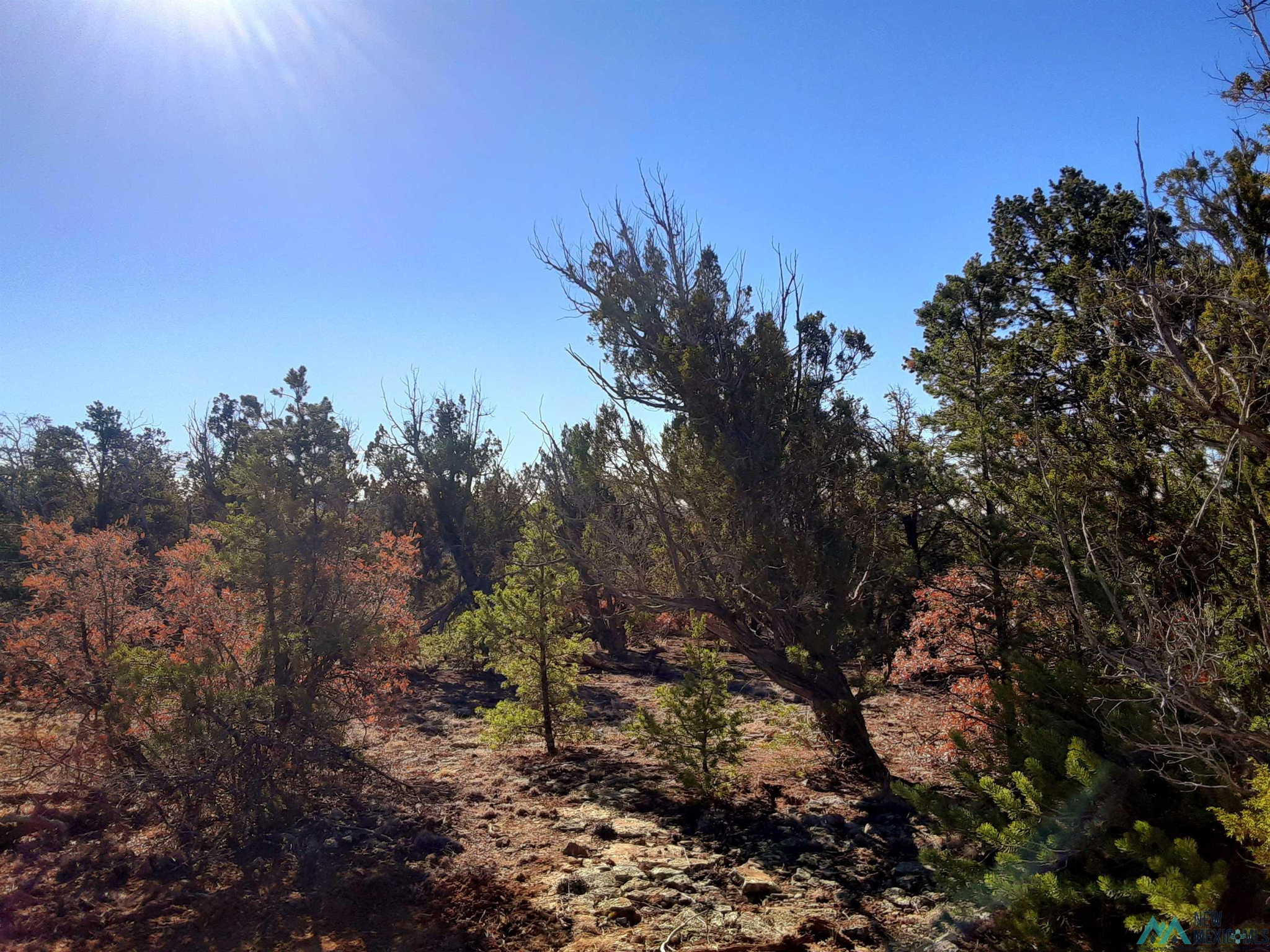 Land in Pinehill 2