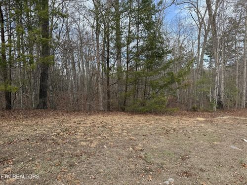 0 Cliffmont Rd, Jamestown, TN, 38556 | Card Image