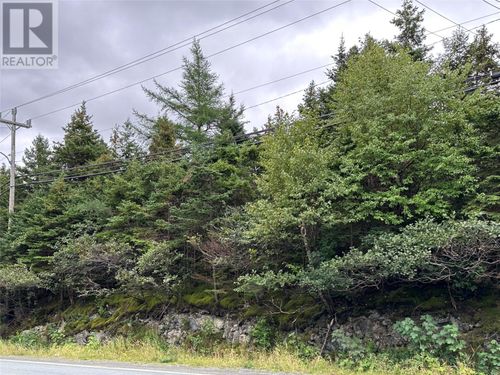 5 Corporal Jamie Murphy Drive, Conception Hr., NL, A0A1Z0 | Card Image