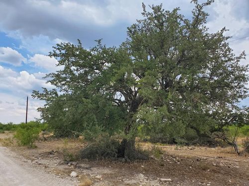 14-4034 Cave Wells Rd, Fort McKavett, TX, 76841-1102 | Card Image