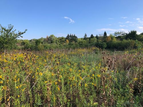 8 Alexandra Dr, Mettawa, IL, 60048-5401 | Card Image