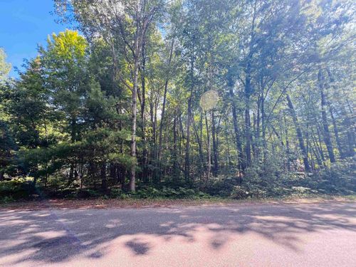 Lot 789 Redwine, Roscommon Township, MI, 48653 | Card Image