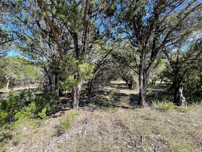 7717 Calcutta Run Dr, Home with 0 bedrooms, 0 bathrooms and null parking in Jonestown TX | Image 4