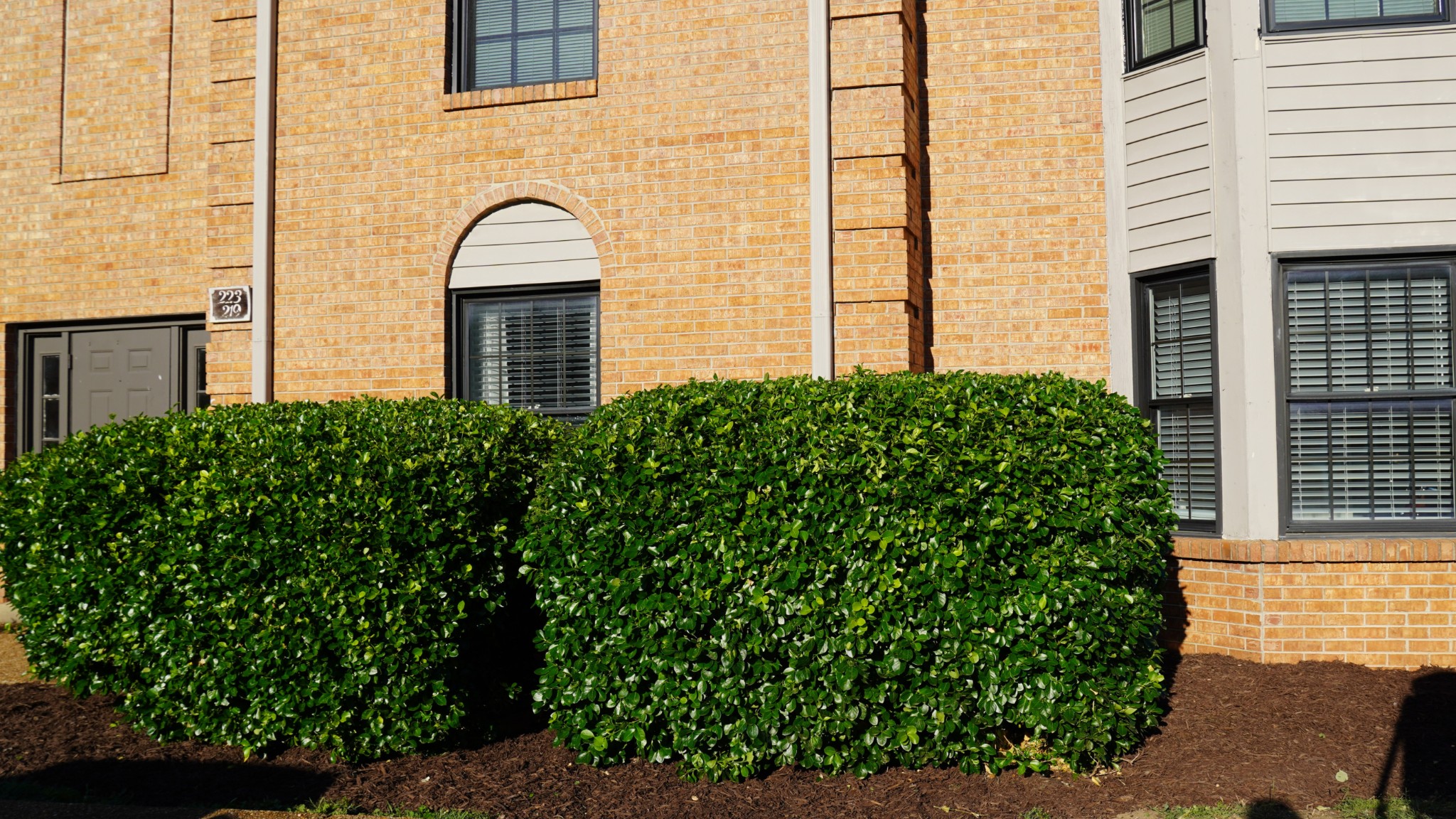 Residential in Madison 2