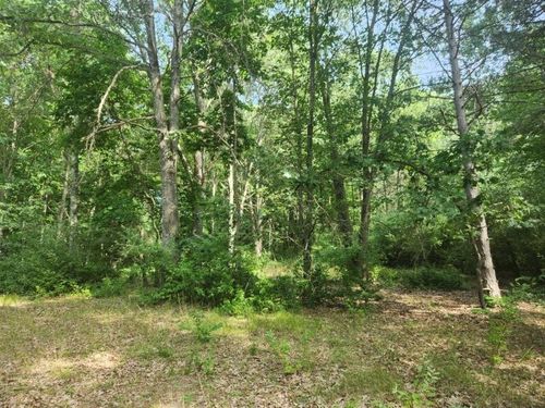 lot-54-V/L S Riverbend Road, Logan Township, MI, 49402 | Card Image