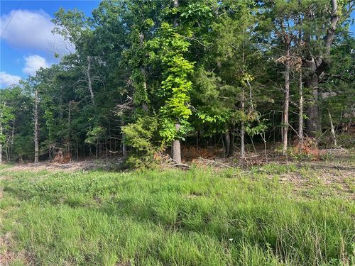 TBD N Diamond Point Blvd, Lead Hill, AR, 72644 | Card Image