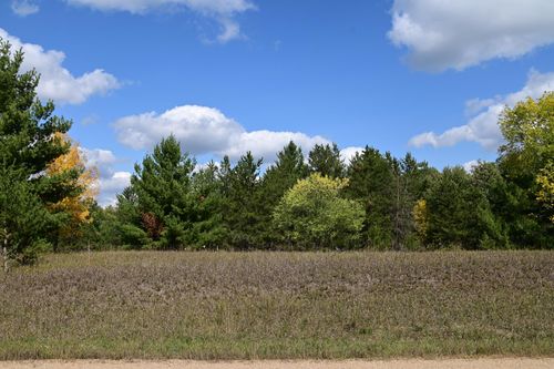 TBD Oak Dr, Browerville, MN, 56438 | Card Image