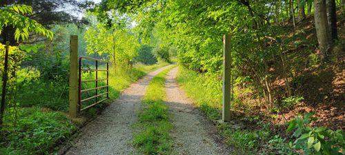 34316 Beech Grove Rd, Rutland, OH, 45775-2500 | Card Image