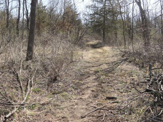10.45 Acres Ringhand Rd, Home with 0 bedrooms, 0 bathrooms and null parking in SYLVESTER WI | Image 40