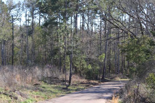 TBD Cr 1627- 30 Acres, Rusk, TX, 75785 | Card Image