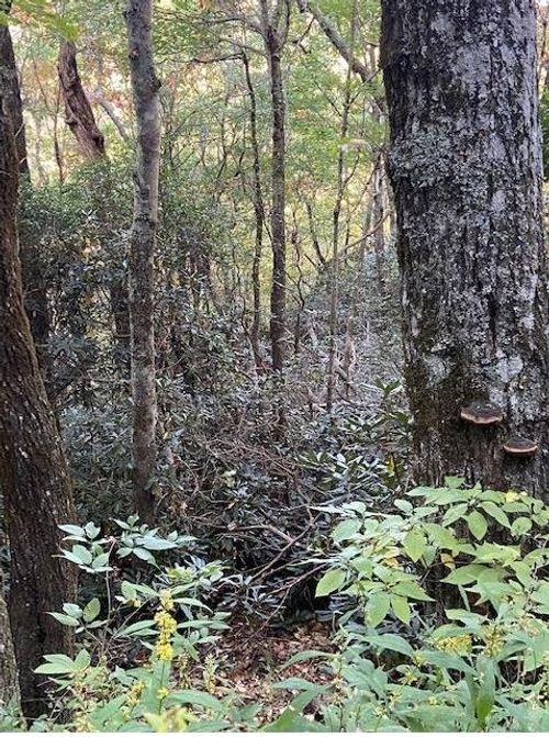 5 Knob Dr, Sky Valley, GA, 30537 | Card Image